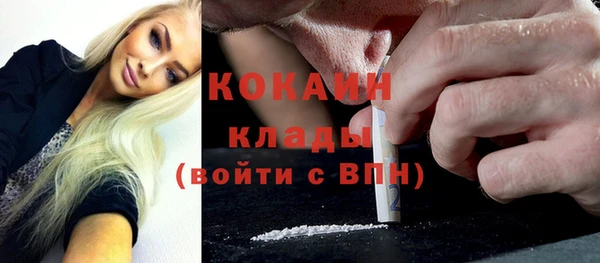 Альфа ПВП Богородск