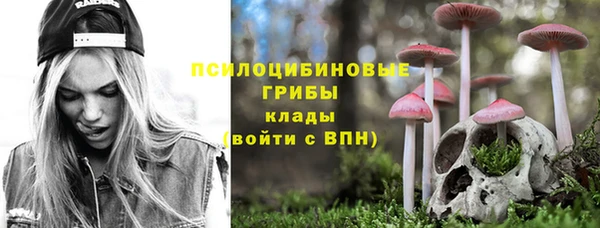 Альфа ПВП Богородск