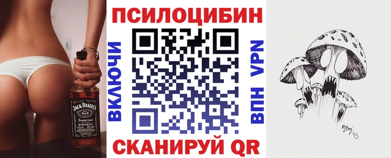 MEGA ссылка  дарнет шоп  Тогучин  Псилоцибиновые грибы прущие грибы 